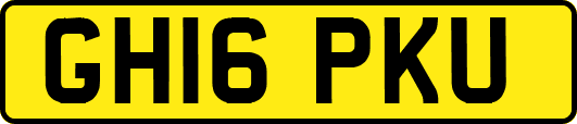 GH16PKU