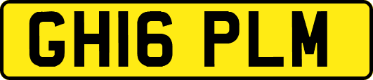 GH16PLM