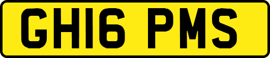 GH16PMS