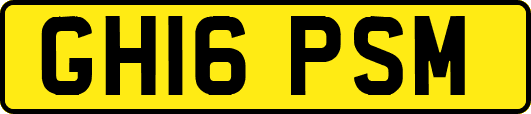 GH16PSM