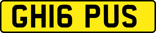 GH16PUS