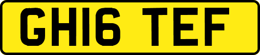 GH16TEF