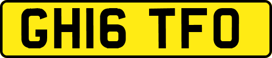 GH16TFO