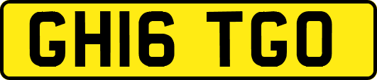 GH16TGO