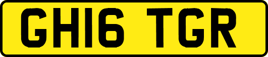 GH16TGR