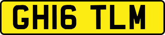 GH16TLM