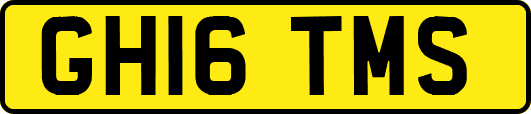 GH16TMS