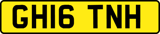 GH16TNH