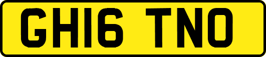 GH16TNO