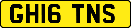 GH16TNS