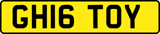 GH16TOY