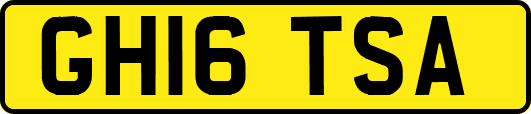 GH16TSA