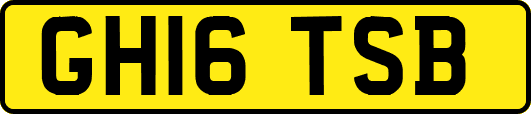 GH16TSB