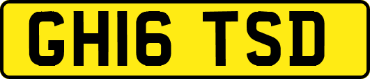 GH16TSD