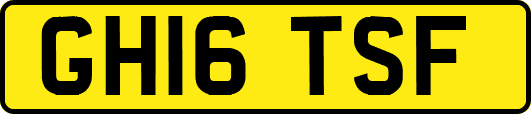 GH16TSF