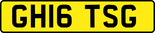 GH16TSG