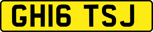 GH16TSJ
