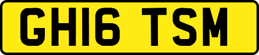 GH16TSM