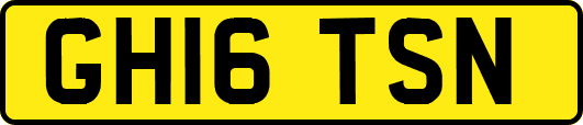 GH16TSN