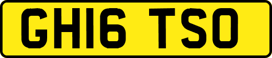 GH16TSO