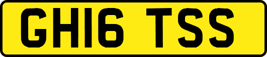 GH16TSS