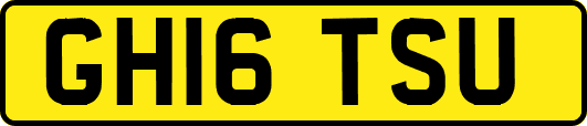 GH16TSU
