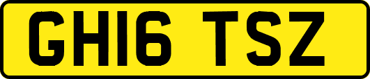 GH16TSZ