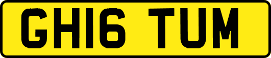 GH16TUM