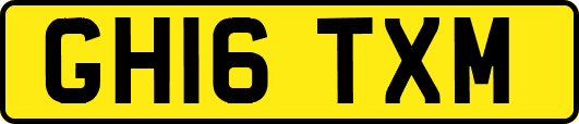 GH16TXM