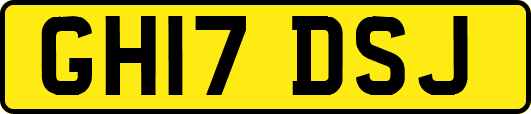 GH17DSJ