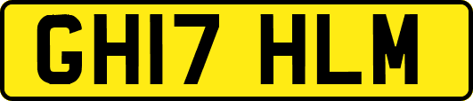 GH17HLM