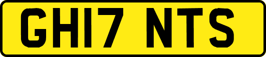 GH17NTS
