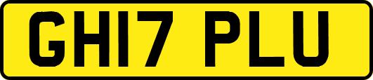 GH17PLU