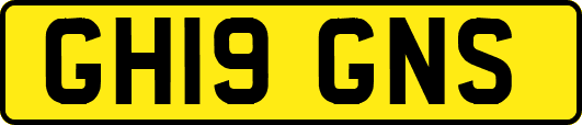 GH19GNS