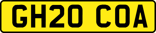 GH20COA