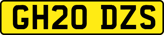 GH20DZS