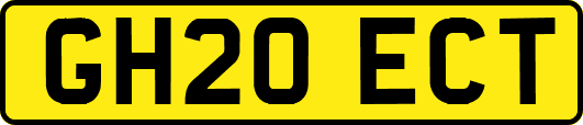 GH20ECT