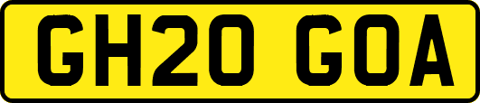 GH20GOA