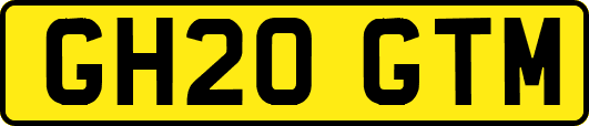 GH20GTM