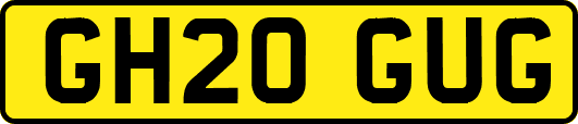 GH20GUG