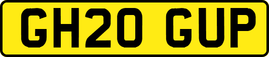 GH20GUP