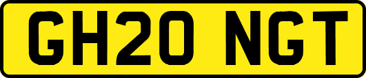 GH20NGT