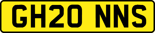 GH20NNS