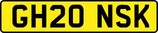 GH20NSK