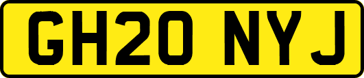 GH20NYJ