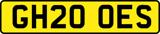 GH20OES