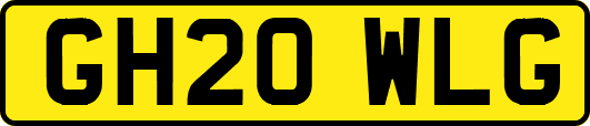 GH20WLG
