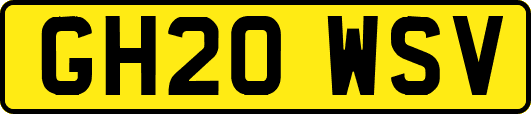 GH20WSV