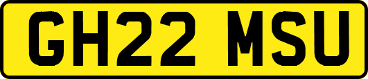 GH22MSU