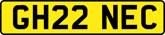 GH22NEC